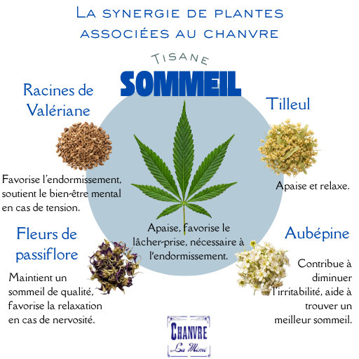 Tisane SOMMEIL
